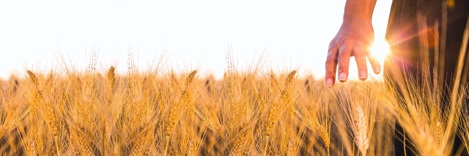 WikiAgri's profile banner image