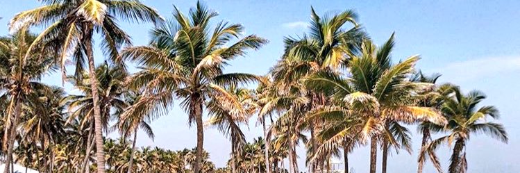 anitagab_'s profile banner image