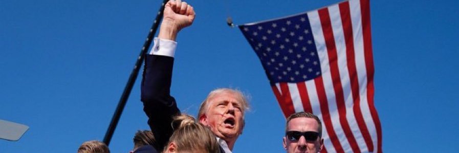 The Fighting Liberty Girl 🥊 banner