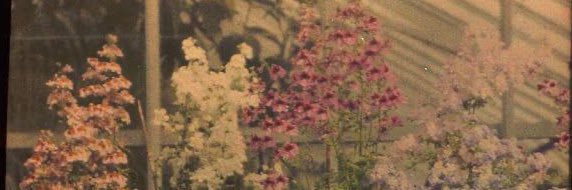 rkchloee's profile banner image