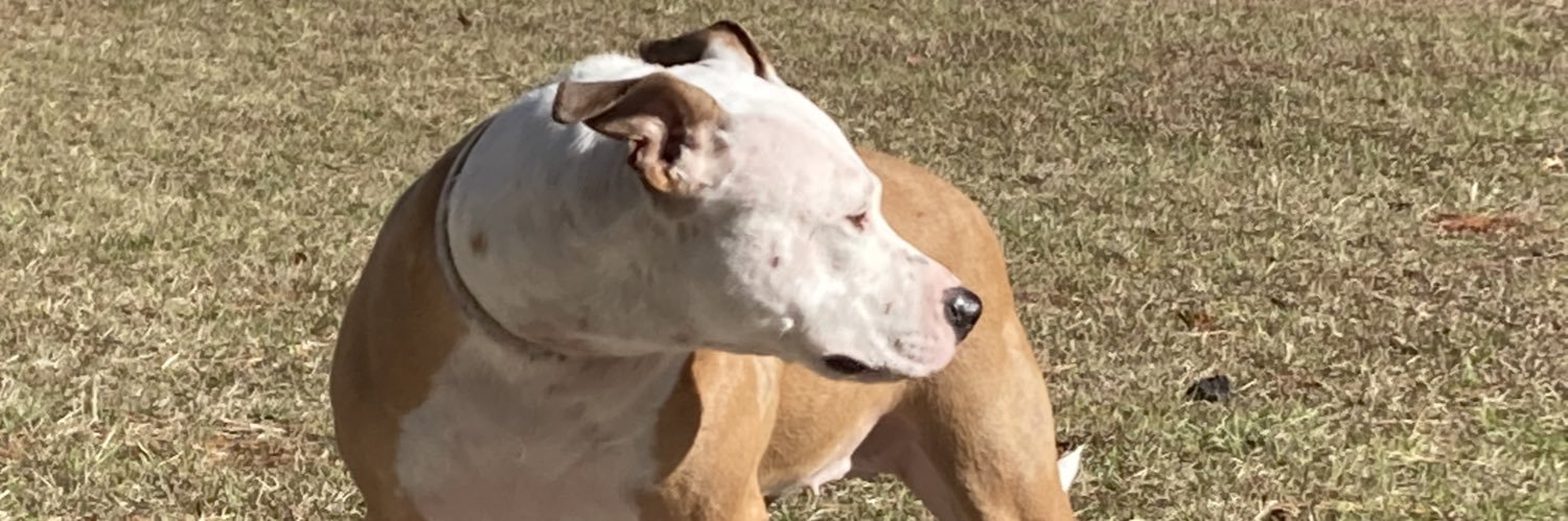 mikkijcraig's profile banner image