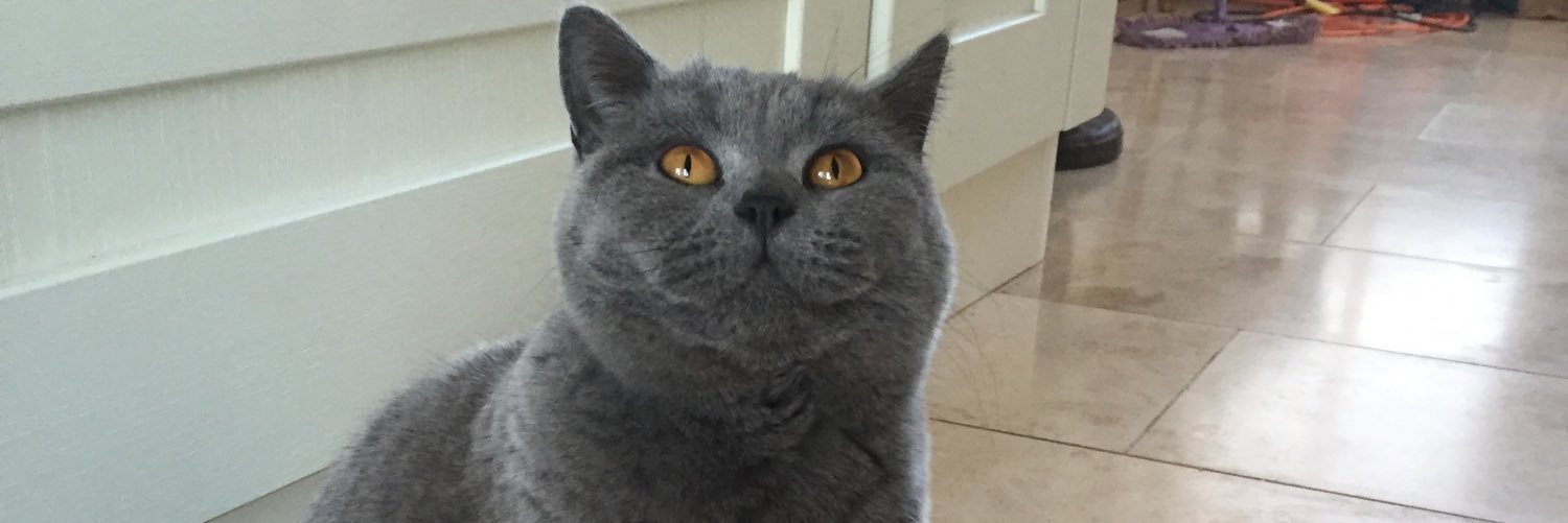 Tazminnn's profile banner image