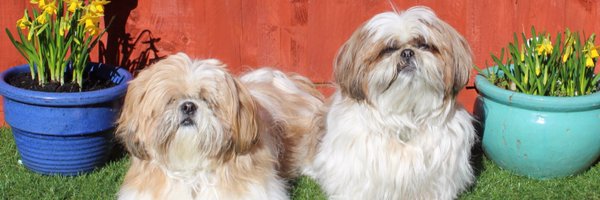 kelbaker78 Profile Banner