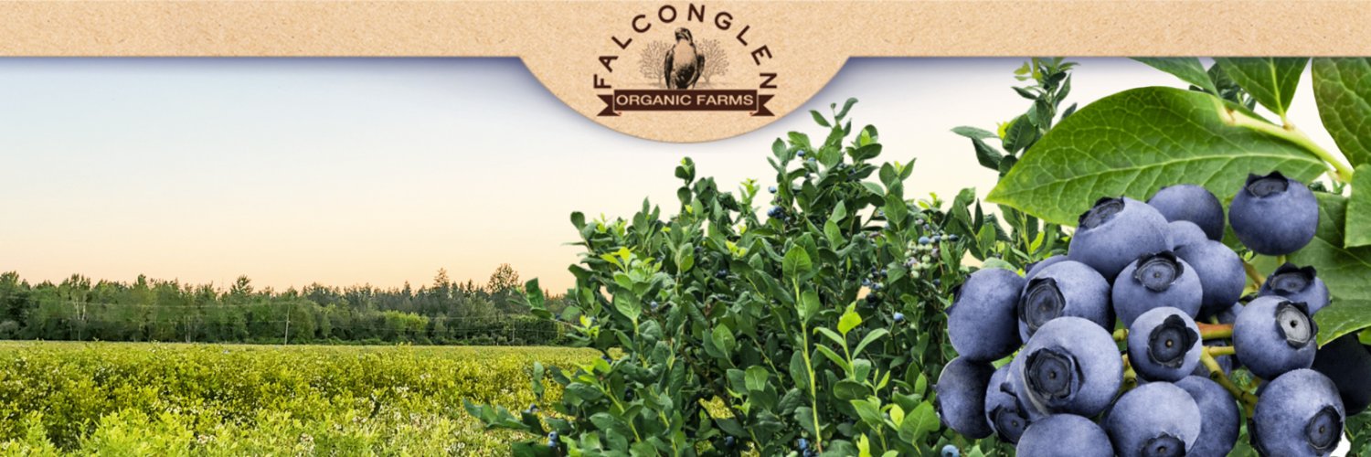 FalconglenFarms's profile banner image