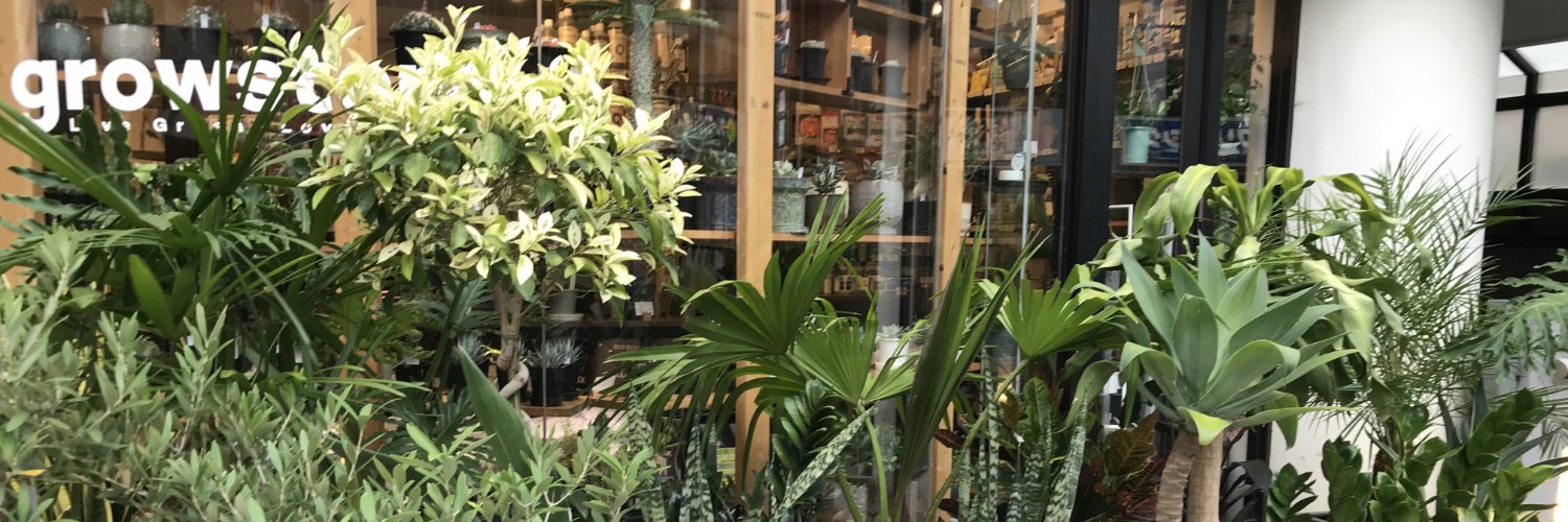 growstorejp's profile banner image