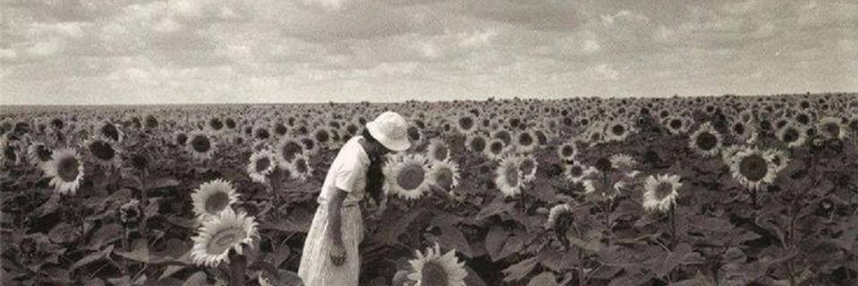 aranjuez66's profile banner image
