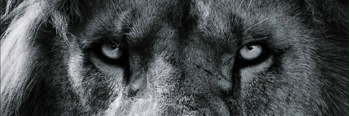 Finally_Mafo's profile banner image