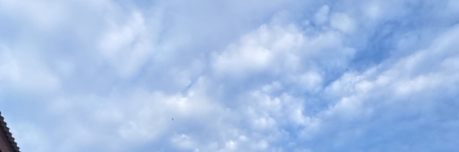 justiara's profile banner image
