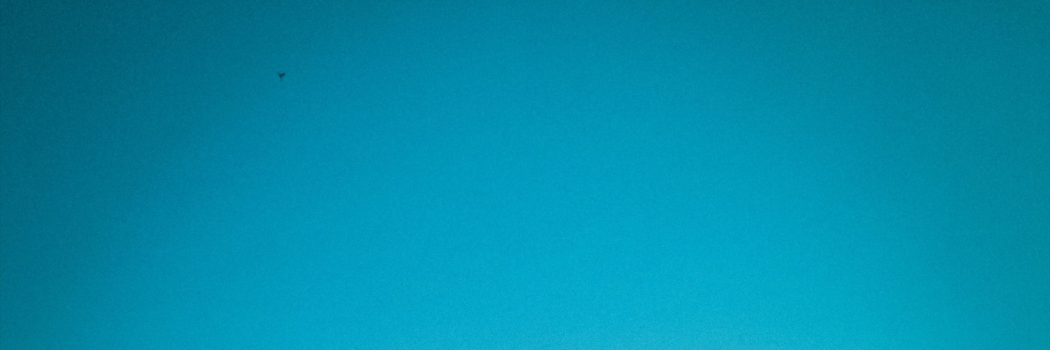 euxinelin's profile banner image