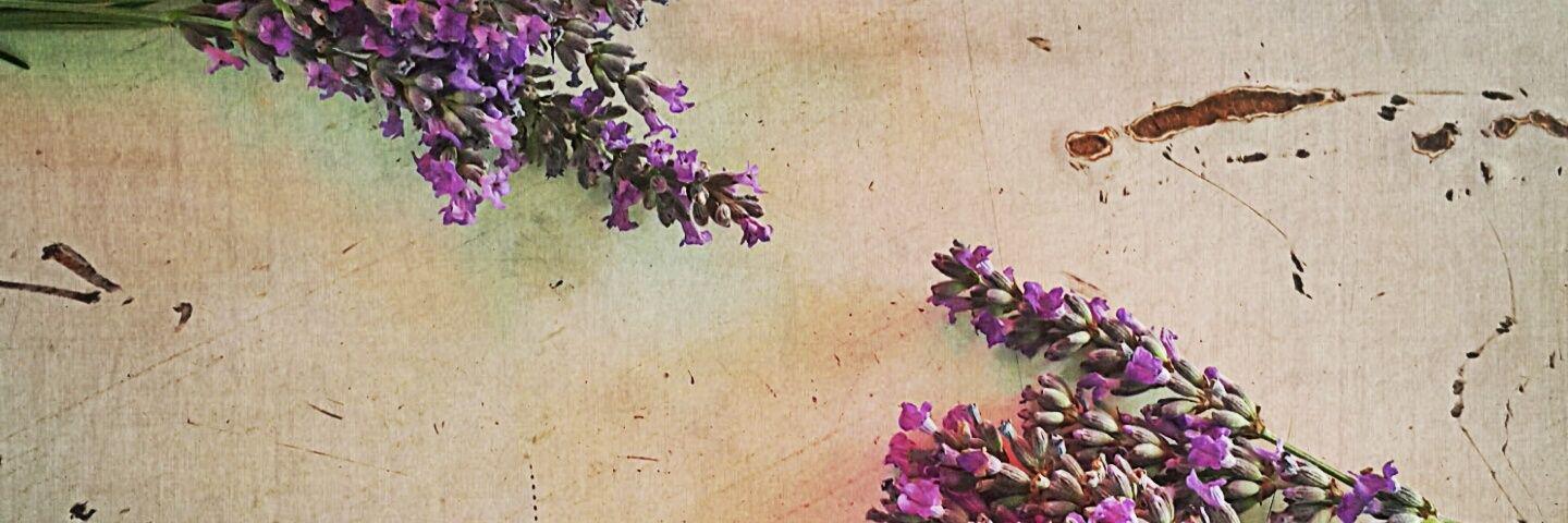 nihanmrl's profile banner image