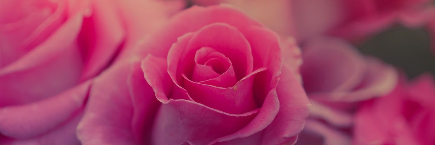 NilgnEmirler's profile banner image