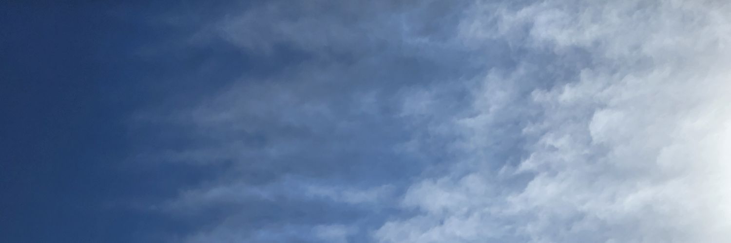 Alqarnics's profile banner image