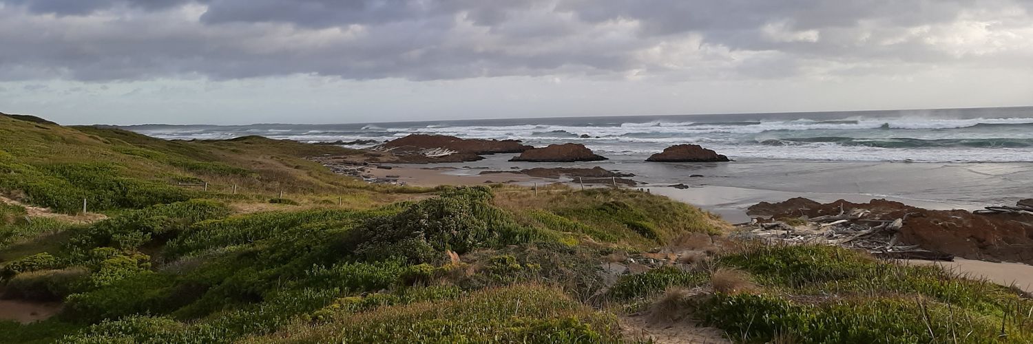 Daniel Clarke banner