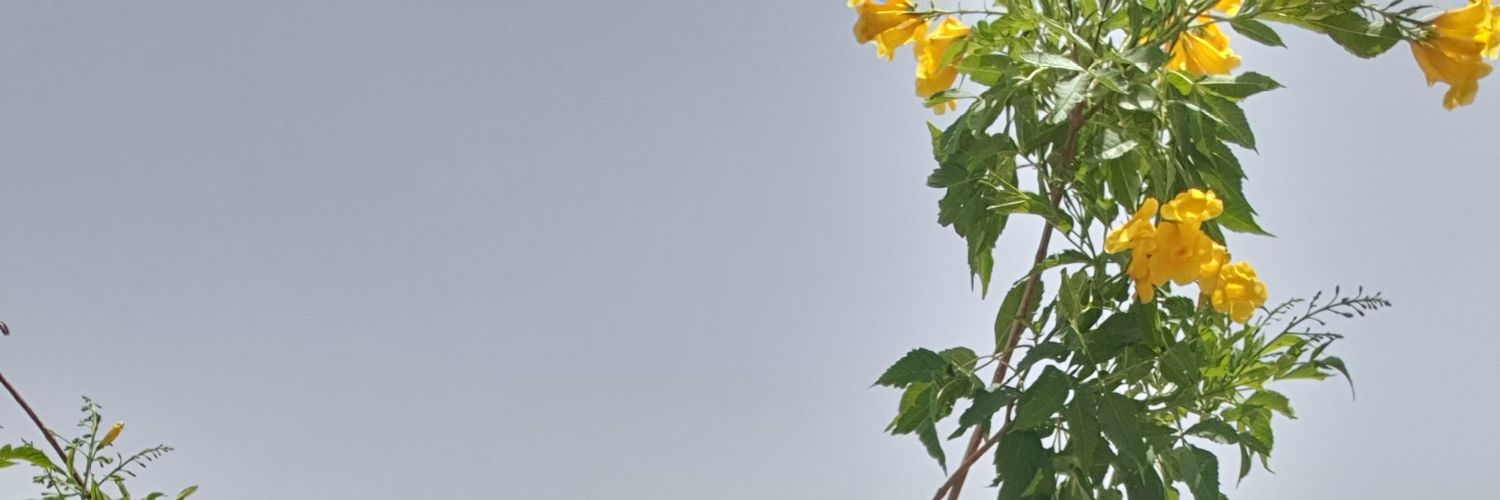 binykber's profile banner image