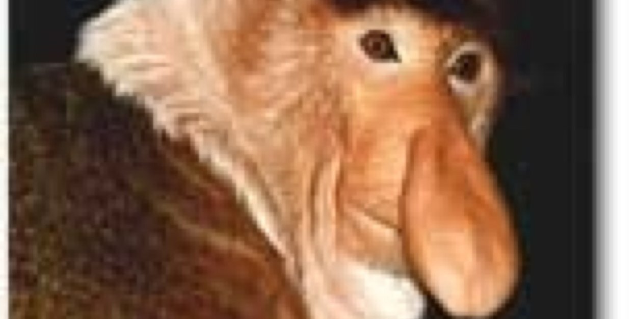 MickePong's profile banner image