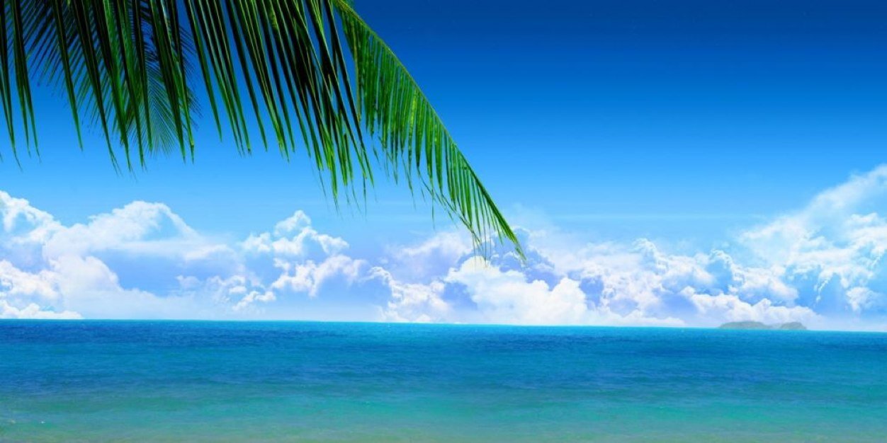 lauradlrv's profile banner image