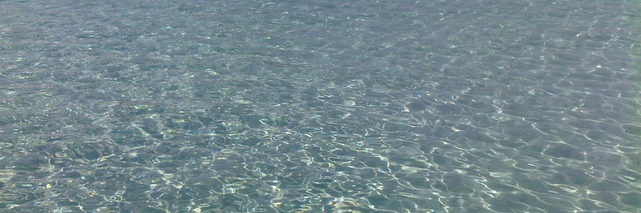 Walter Anedda banner