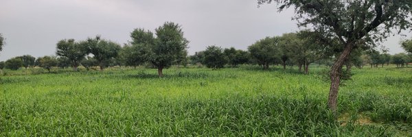 ptnpintu Profile Banner