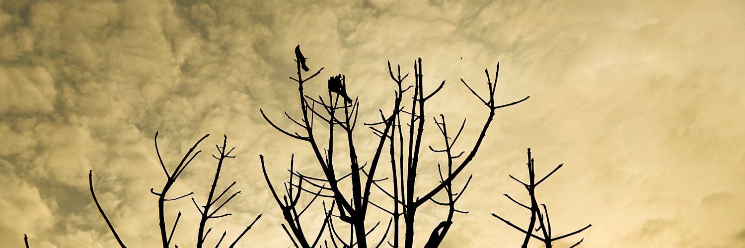 abroida_'s profile banner image