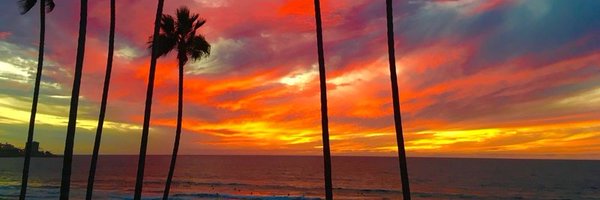 NancyHowardCobb Profile Banner