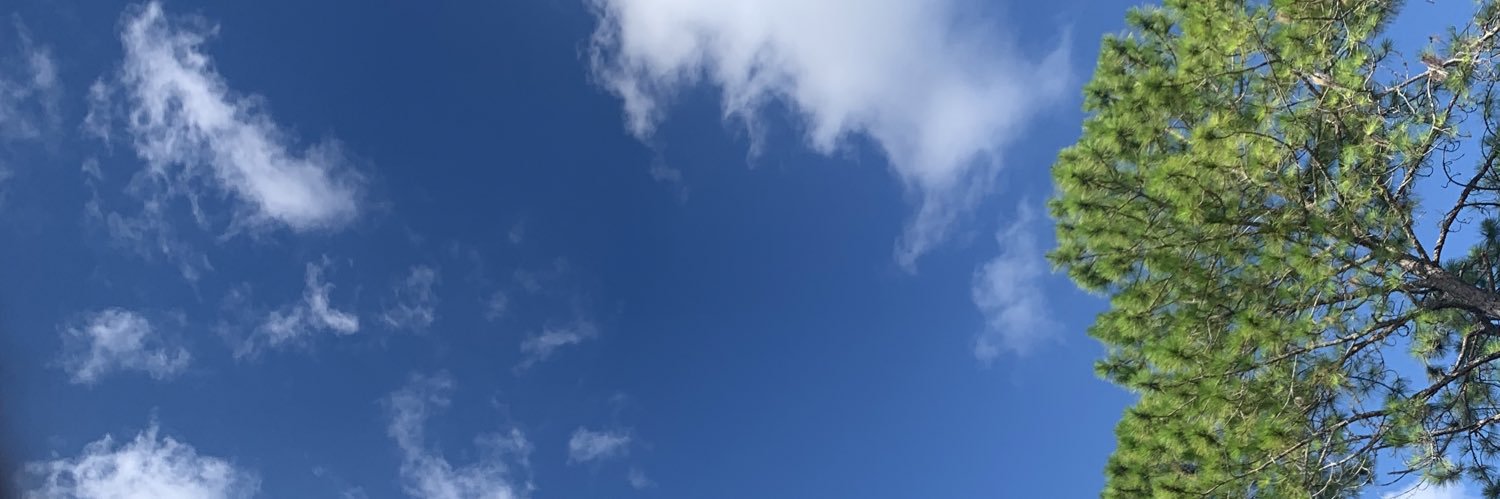 Reefporter's profile banner image