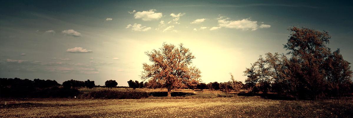 IvanRuiz_93's profile banner image