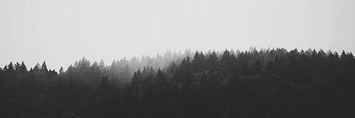 Pli_q8's profile banner image