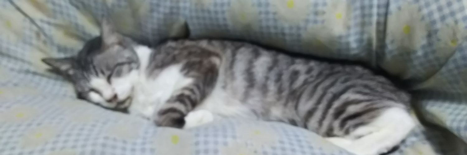 PDhnMspFaRwBfSW's profile banner image