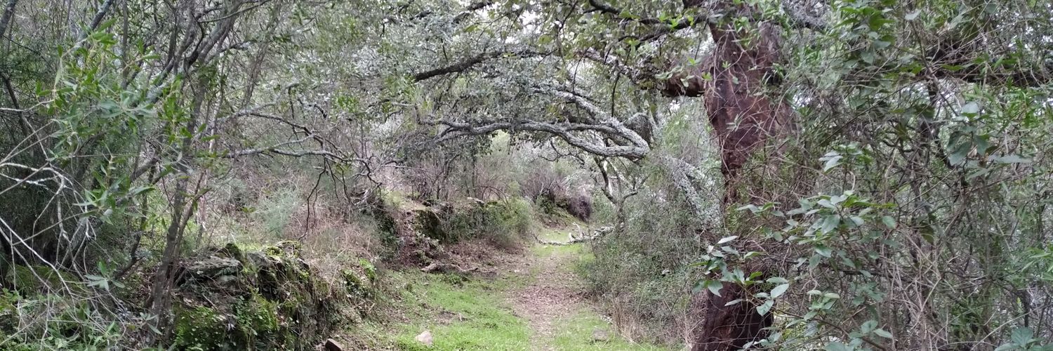 cgcerro's profile banner image