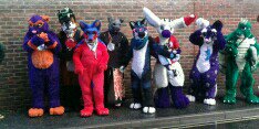 SotonFurs's profile banner image