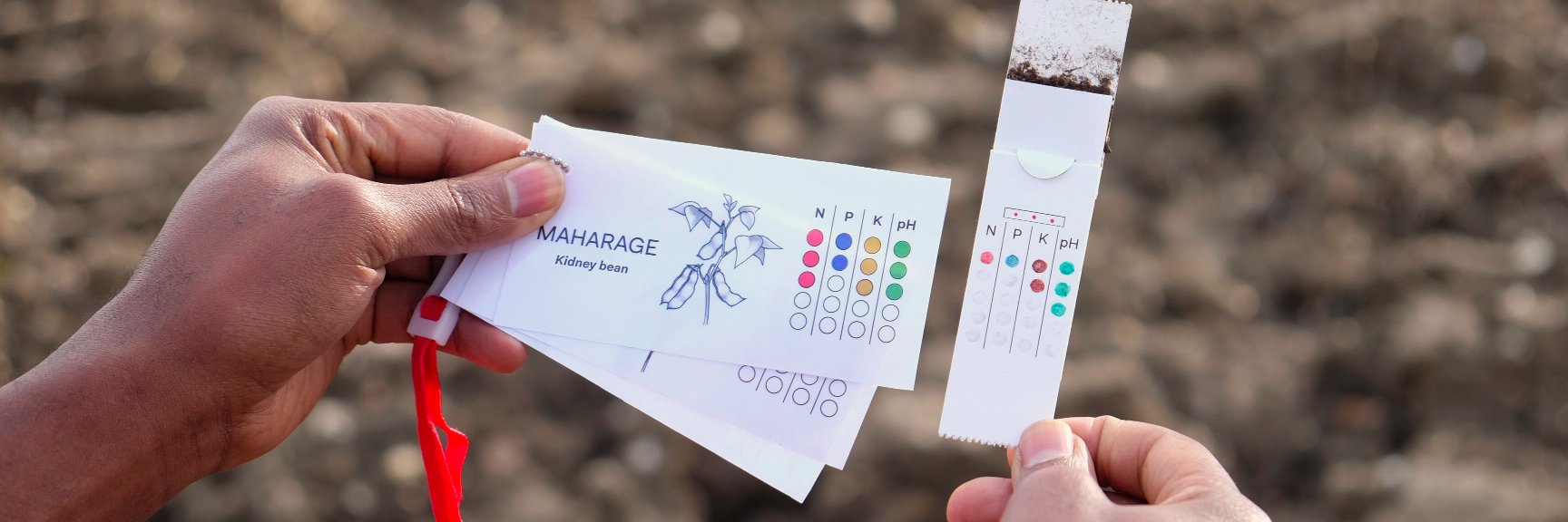 soilcards's profile banner image
