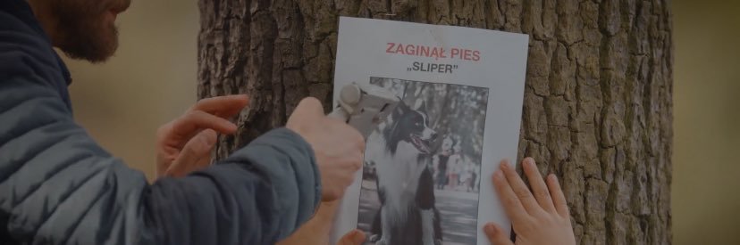 Fundacja SAFE-ANIMAL banner