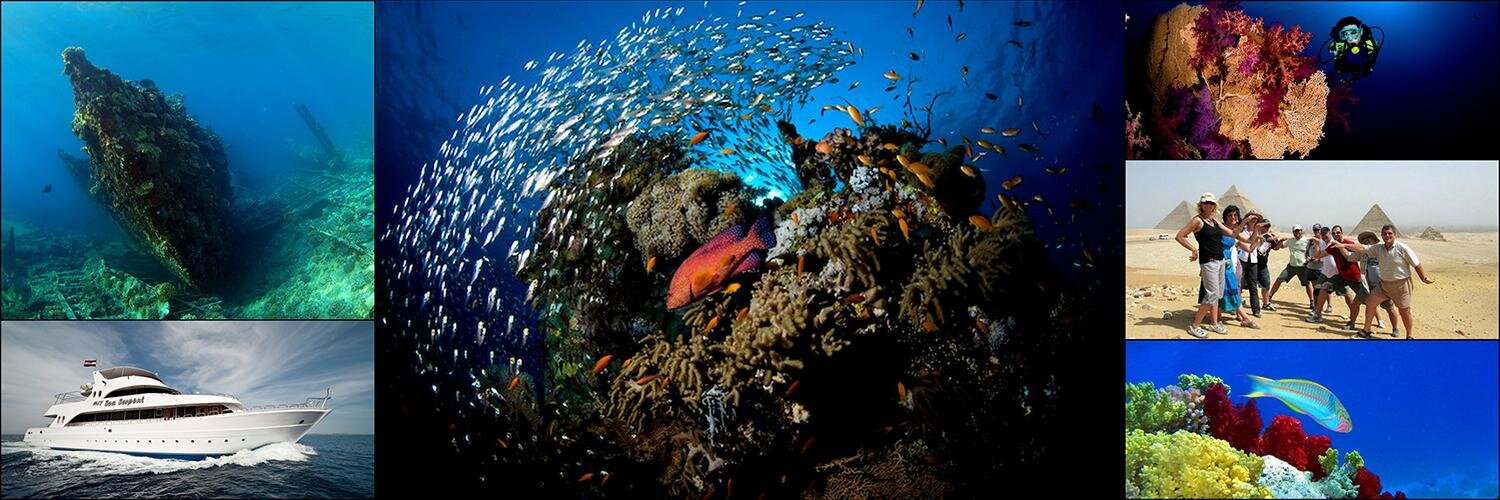 Alpha Dive Centre banner