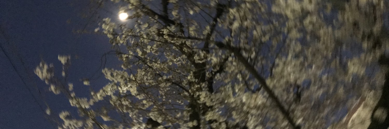 torisilvermoon's profile banner image