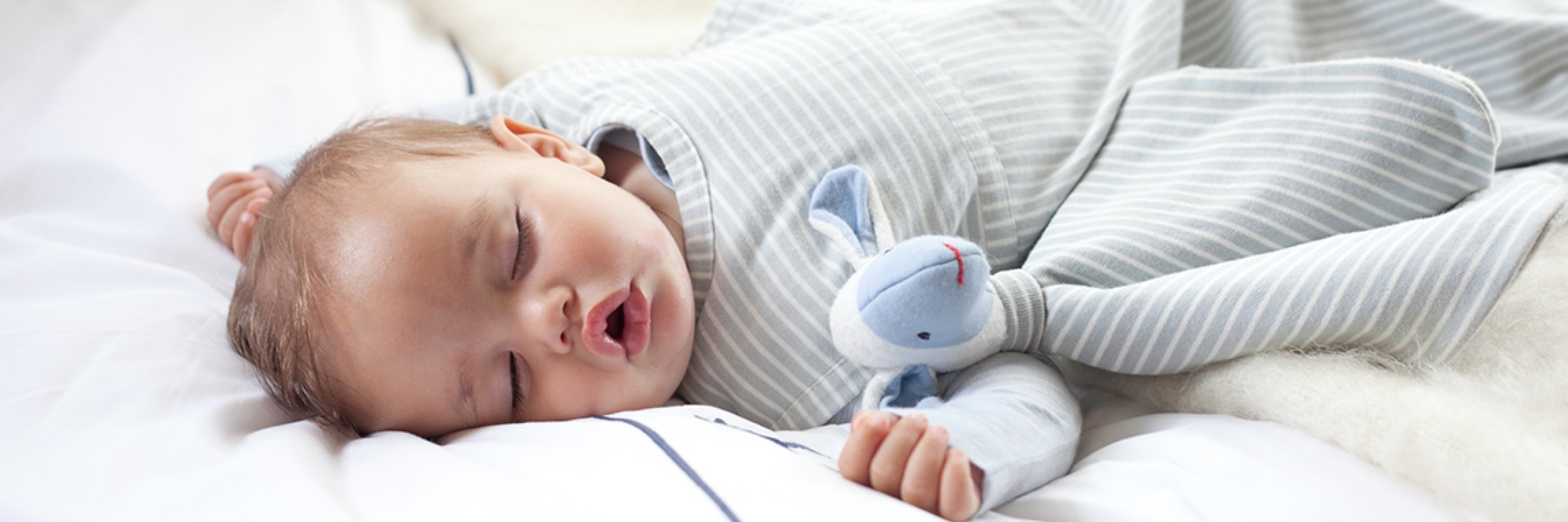MerinoKids's profile banner image