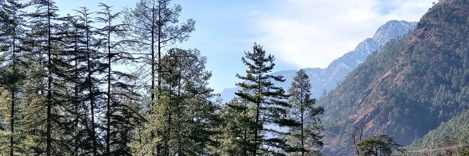 SybilBraganza's profile banner image