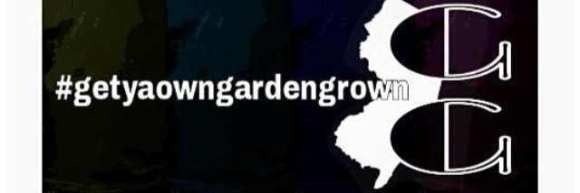 201dank's profile banner image