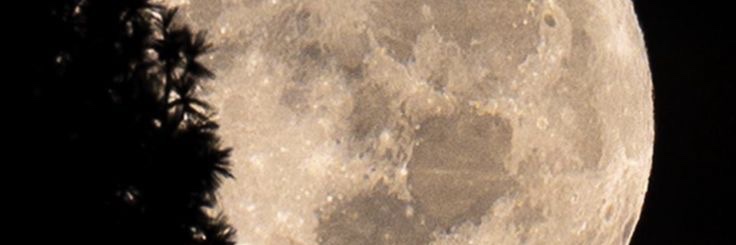 mylogin88's profile banner image