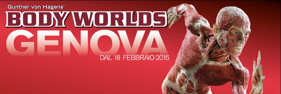 BodyworldsItaly's profile banner image