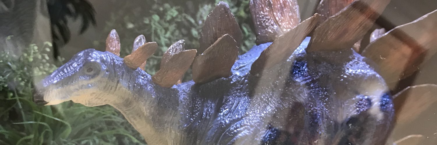 ぱせり banner