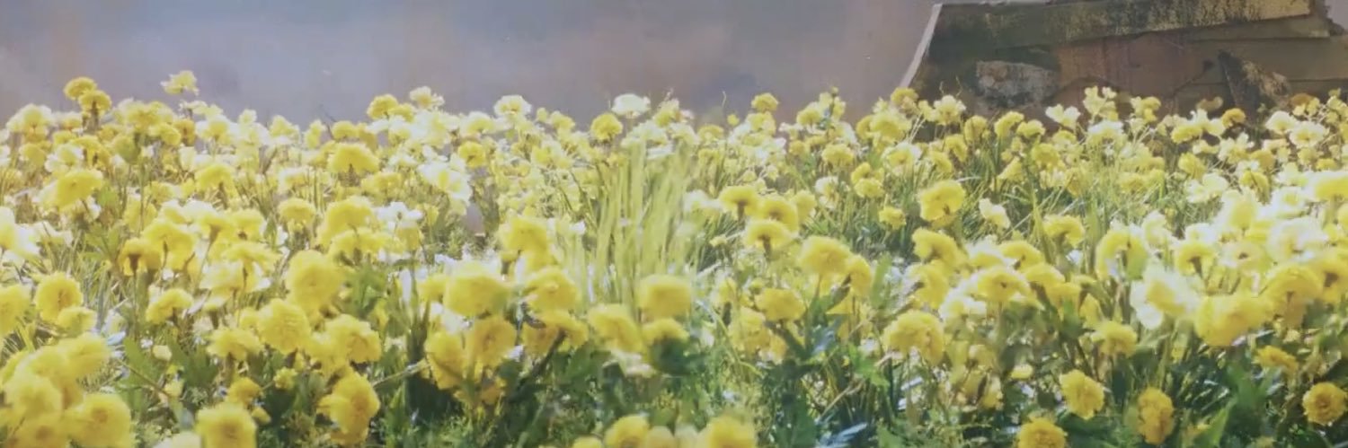 Mibbih's profile banner image