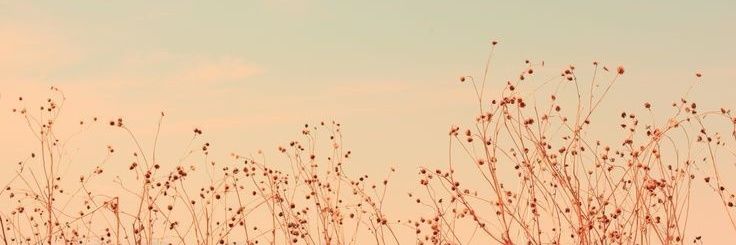 blancacb_98's profile banner image