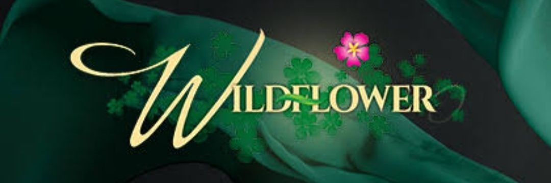 arabianwild's profile banner image