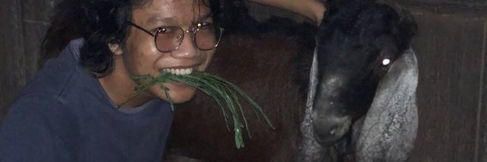Erwanr_'s profile banner image