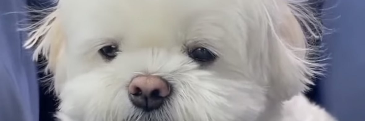 Tfernlyy's profile banner image