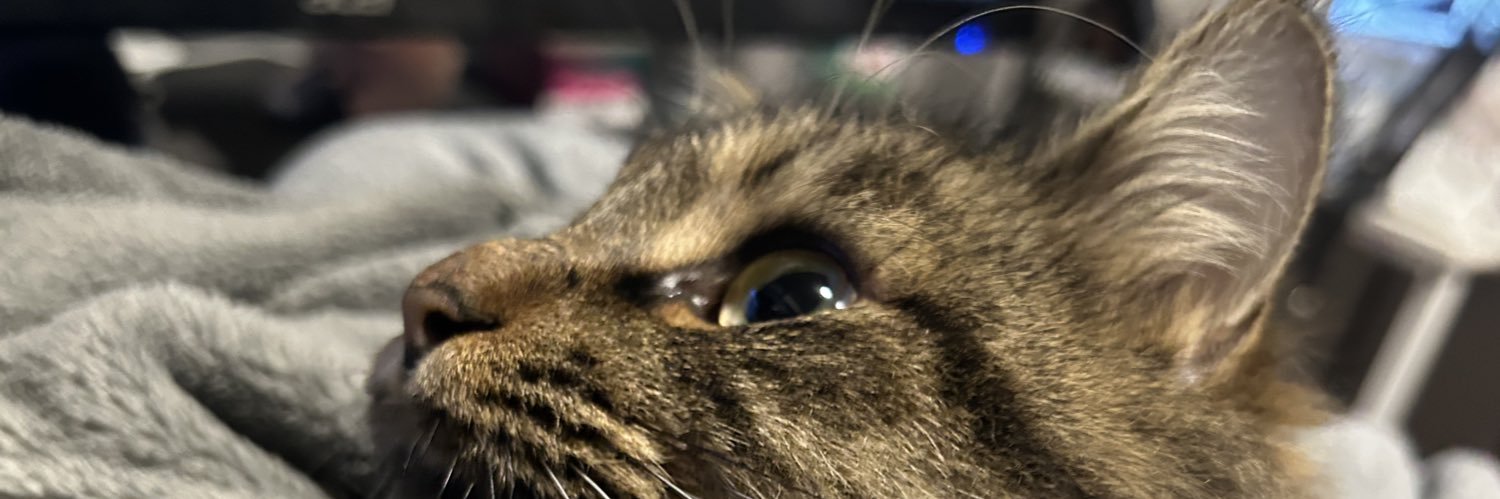 c_qpg's profile banner image