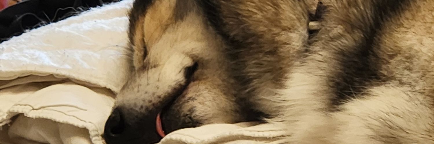 tht217's profile banner image