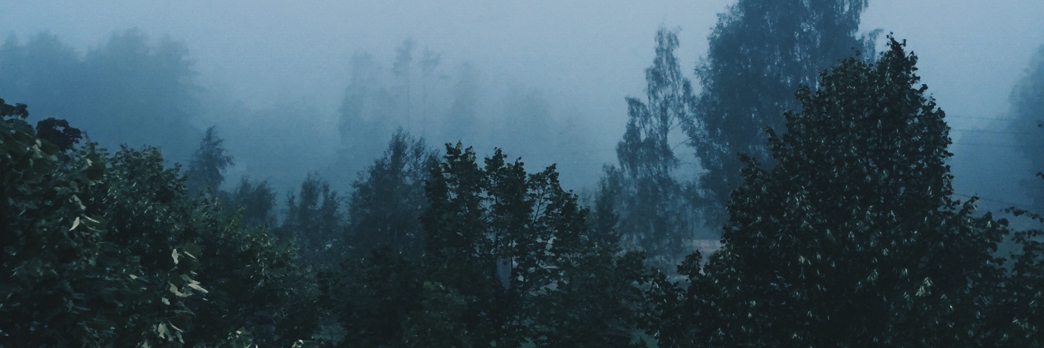 Edgar Dubrovskiy banner