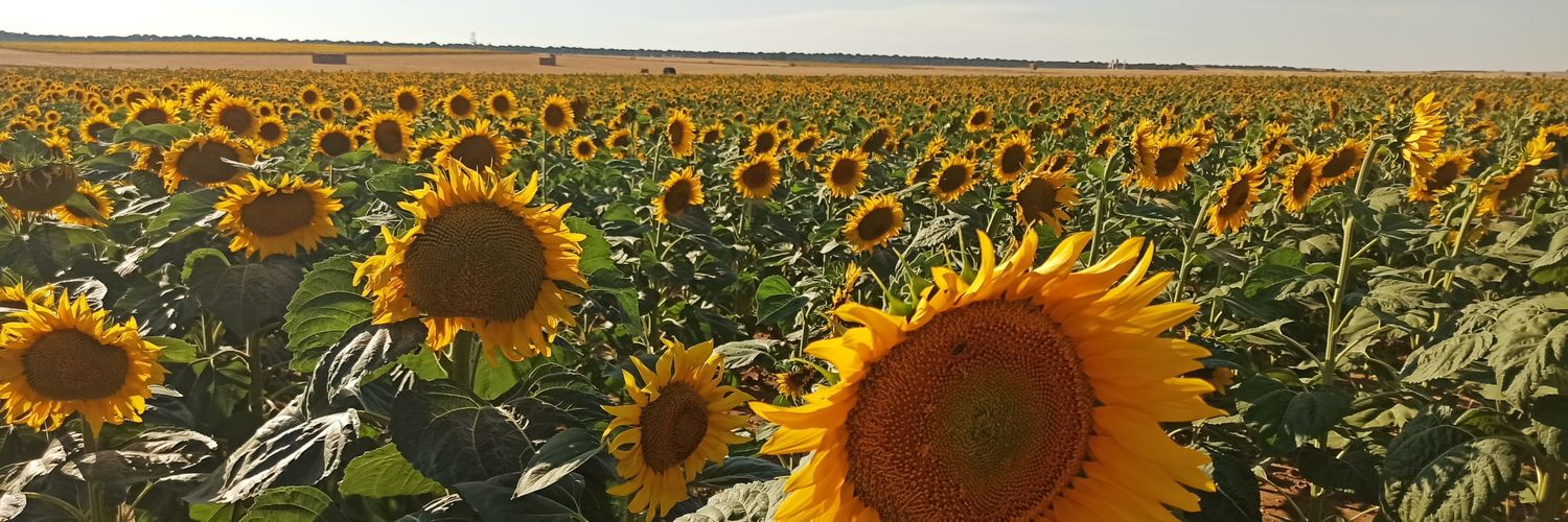 martadpb's profile banner image