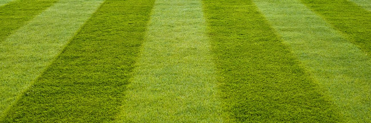 Pascal Snijders banner